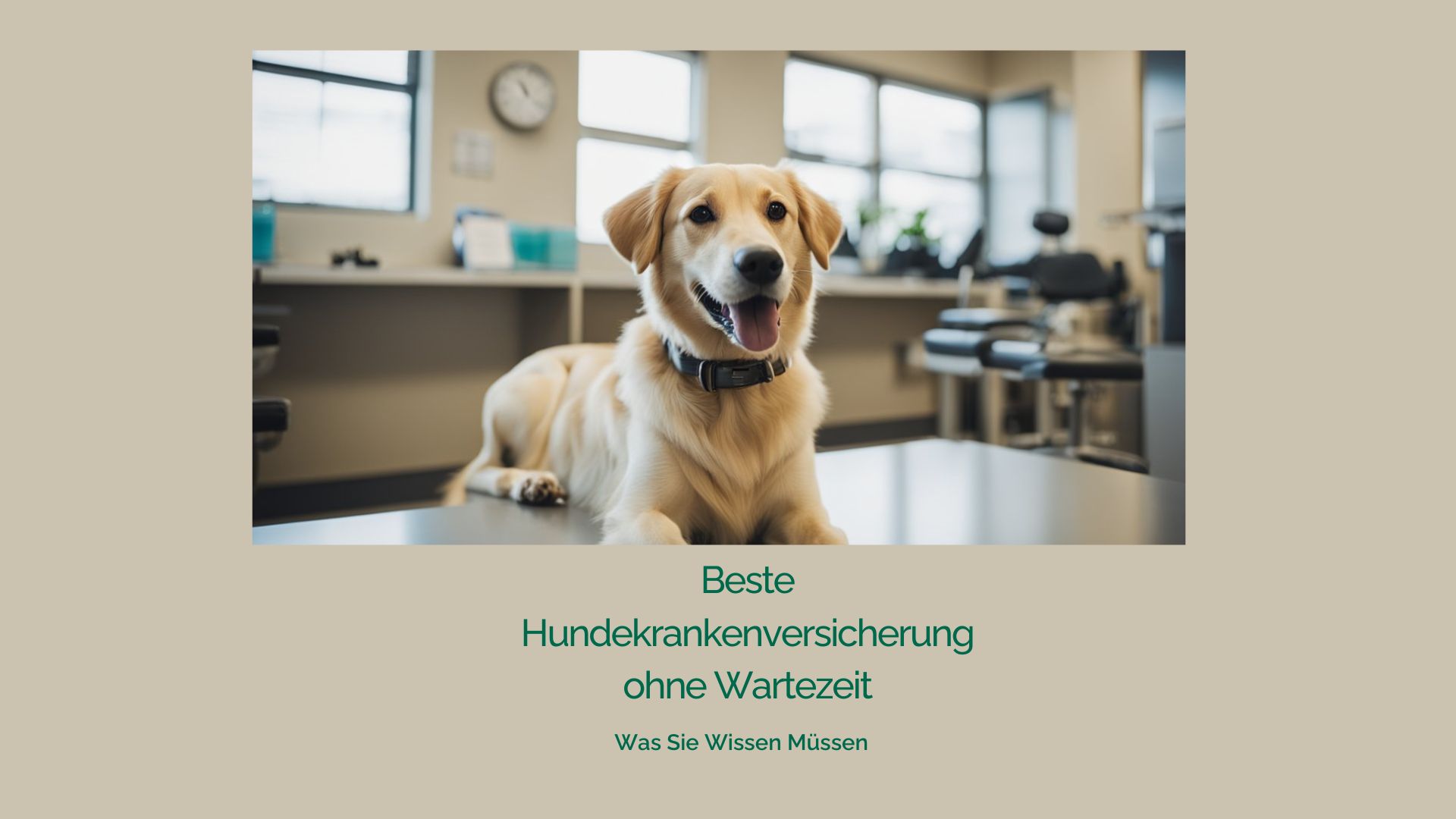 Du betrachtest gerade Beste Hundekrankenversicherung ohne Wartezeit: Was Sie Wissen Müssen
