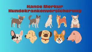 Mehr über den Artikel erfahren Hanse Merkur Hundekrankenversicherung: Die wichtige Absicherung für Ihren Hund