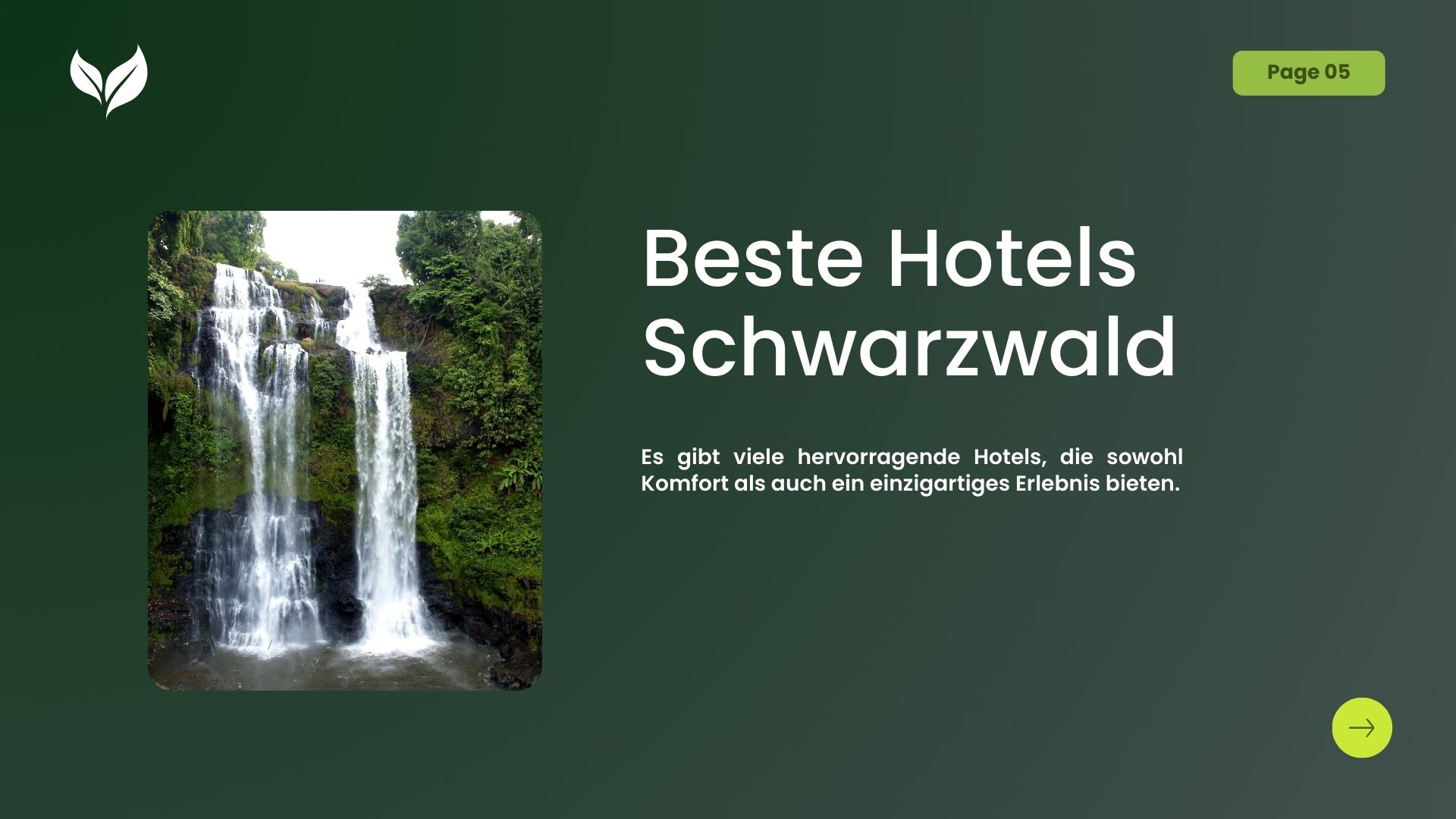Mehr über den Artikel erfahren Beste Hotels Schwarzwald für einen unvergesslichen Aufenthalt