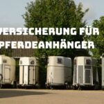 Versicherung für Pferdeanhänger: Alles, was Sie wissen müssen